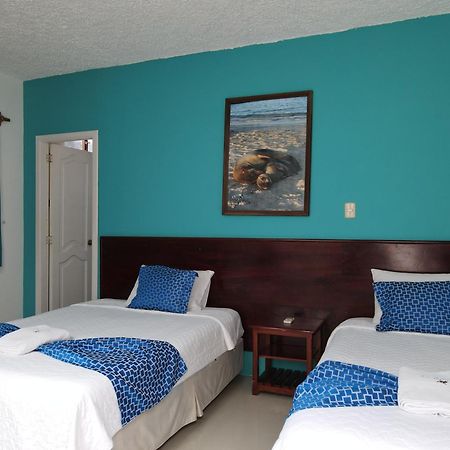 Hotel La Gran Tortuga - ᯤ Starlink Пуерто Виламил Екстериор снимка