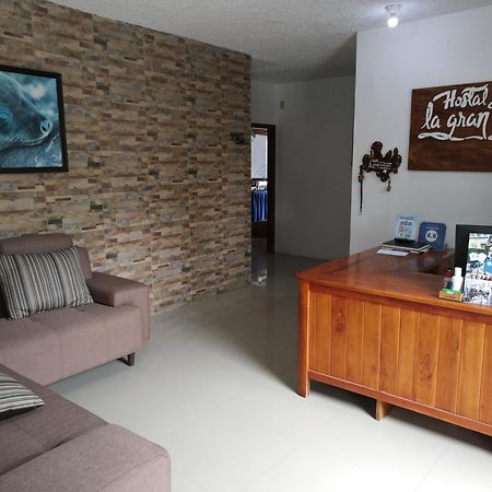 Hotel La Gran Tortuga - ᯤ Starlink Пуерто Виламил Екстериор снимка